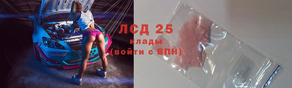 ПСИЛОЦИБИНОВЫЕ ГРИБЫ Вяземский