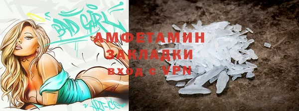 ПСИЛОЦИБИНОВЫЕ ГРИБЫ Вяземский