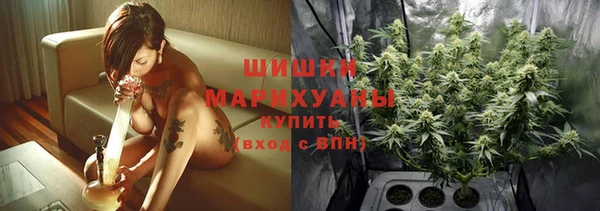 ПСИЛОЦИБИНОВЫЕ ГРИБЫ Вяземский