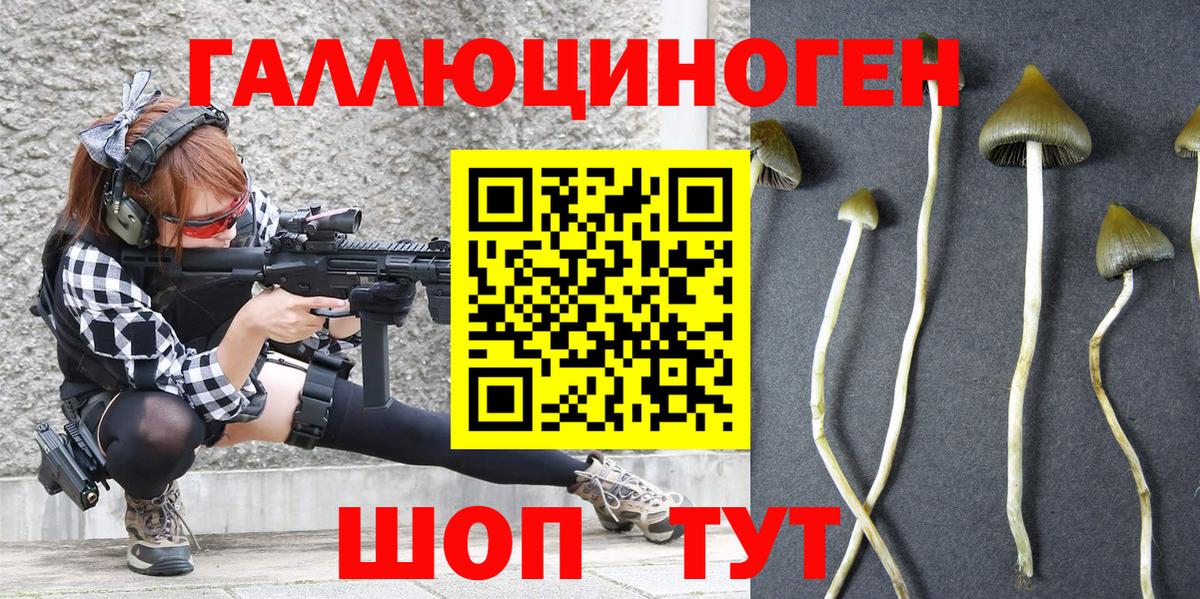 Галлюциногенные грибы GOLDEN TEACHER  Вход с VPN  Губкинский 